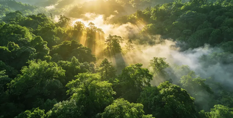 永州肺癌172基因检测图片1