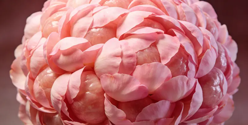 永州BRCA1/2乳腺癌卵巢癌基因检测图片1